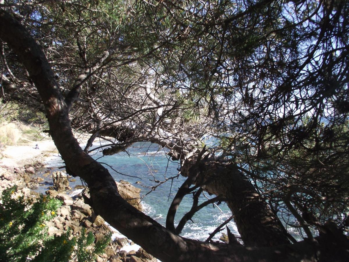 T2 Climatise A 500M De La Plage Sur La Presqu'Ile De Saint Mandrier Sur Mer מראה חיצוני תמונה